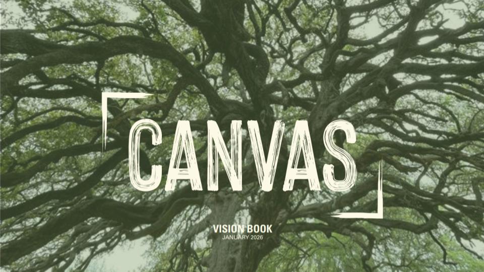 Canvas vision