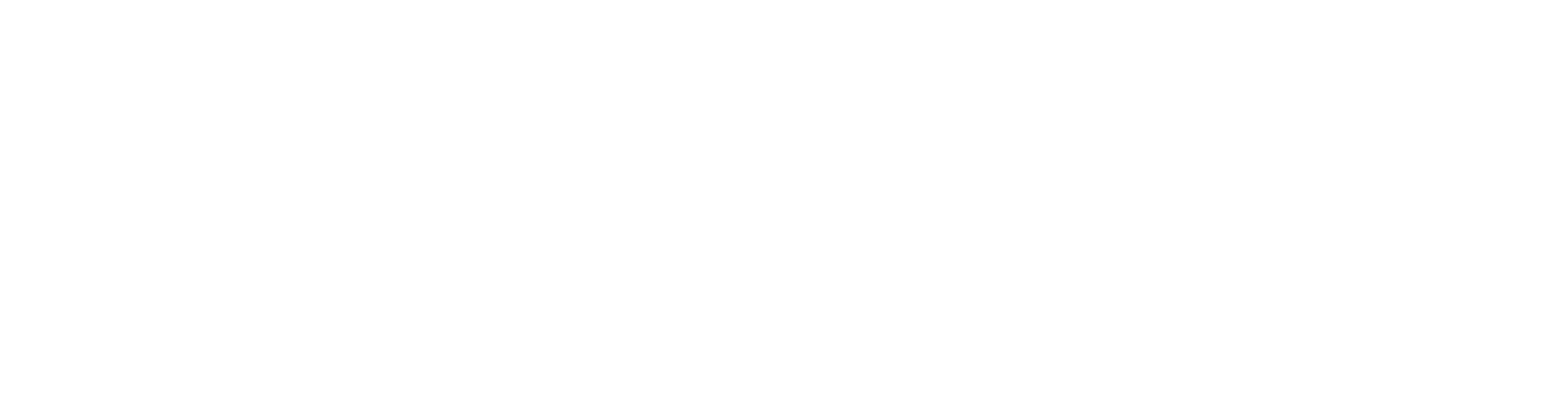 WLB Group logo